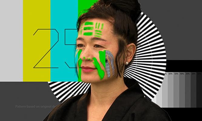 Hito Steyerl